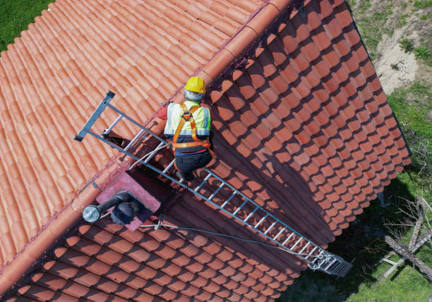 Best Roof Moss and Algae Removal  in Monticello, IA