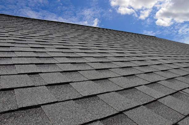 Best Skylight Installation and Repair  in Monticello, IA